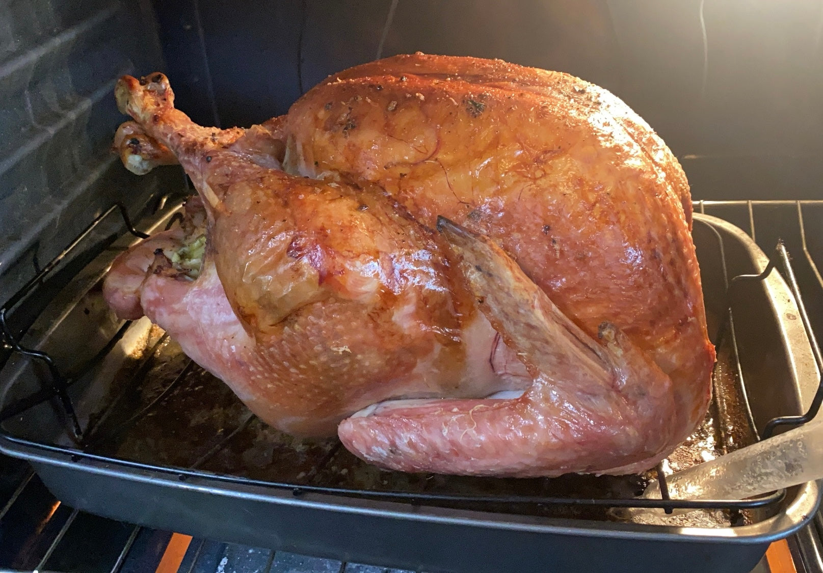 Pasture Raised Turkey