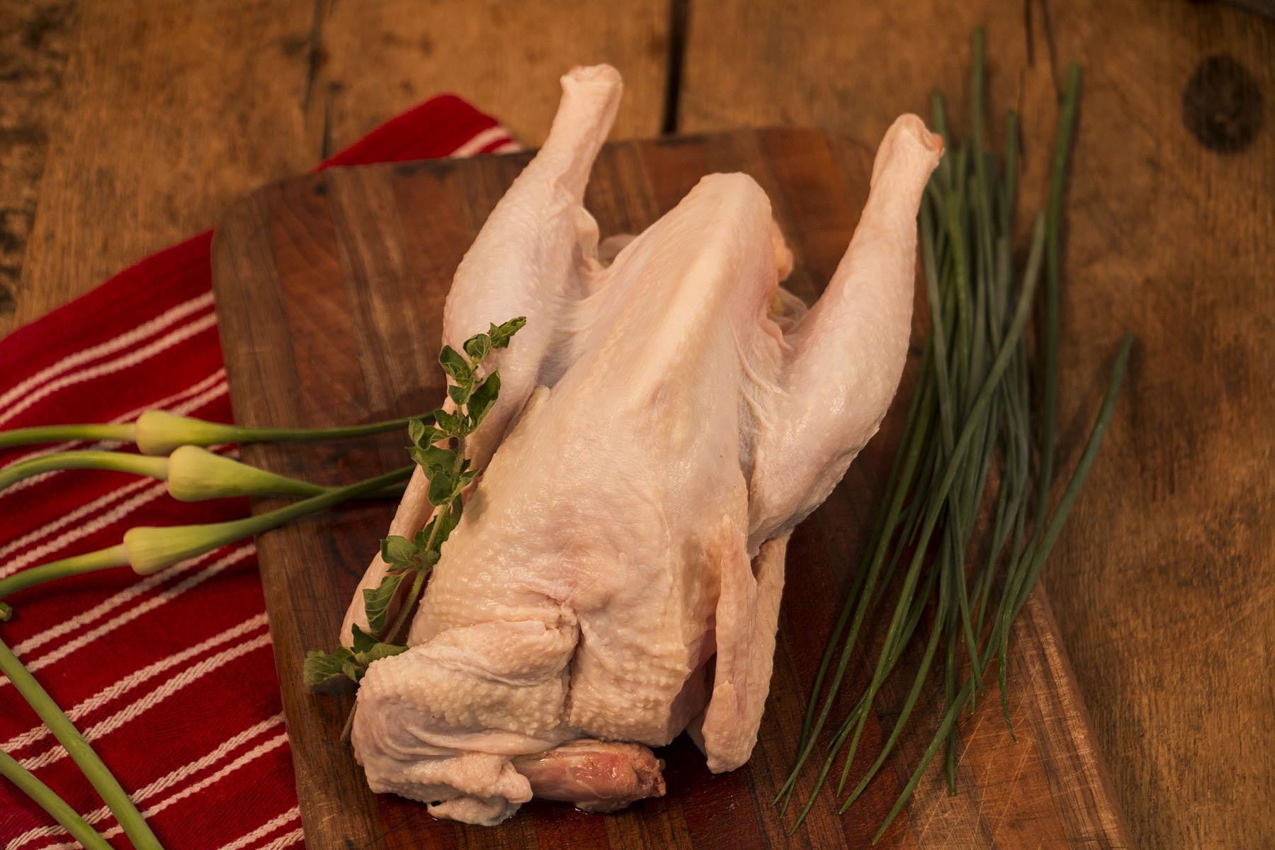 Stewing Hens
